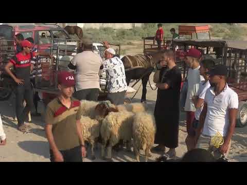 استعدادات في غزة لاستقبال عيد الأضحى المبارك 🇵🇸