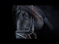 Show goes on||show jumping edit||