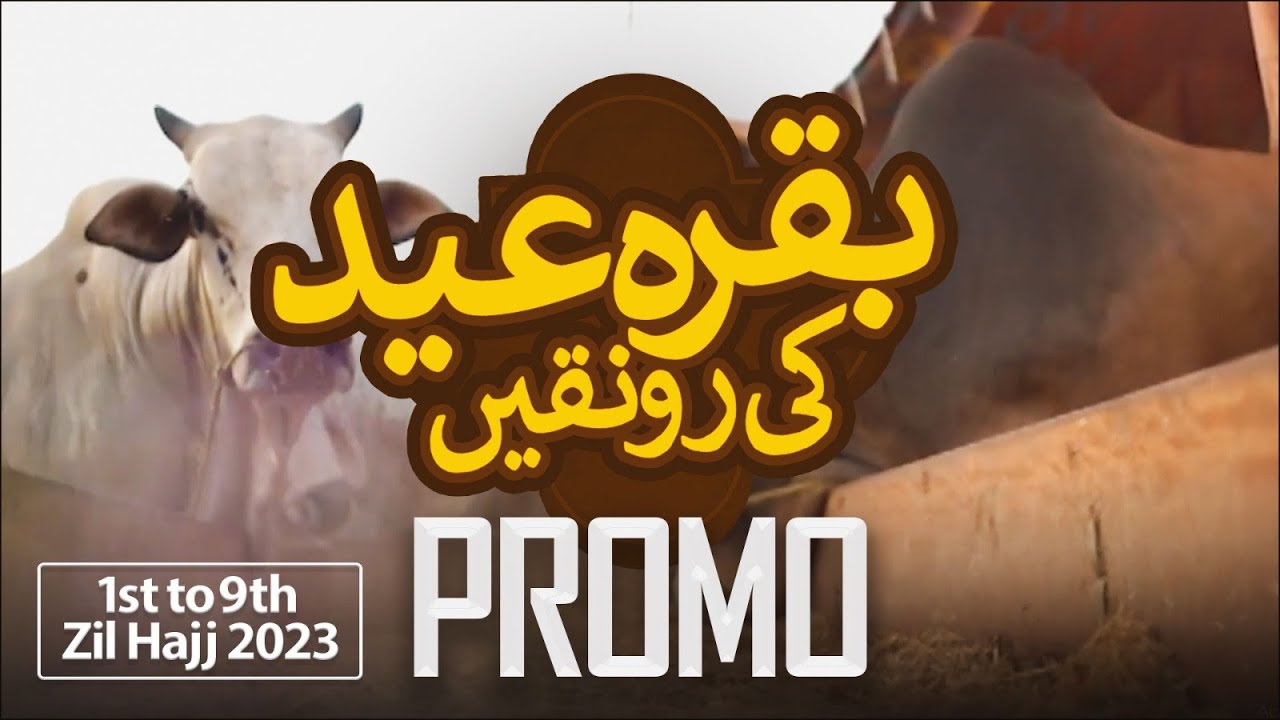 PROMO Baqr Eid Ki Ronaqain 1st to 9th Zil Hajj Daily Special