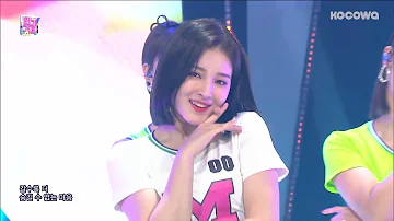 MOMOLAND - BAAM [Inkigayo Ep 966]