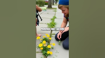 Urban Wilderness Survival: Navigating the Concrete Jungle