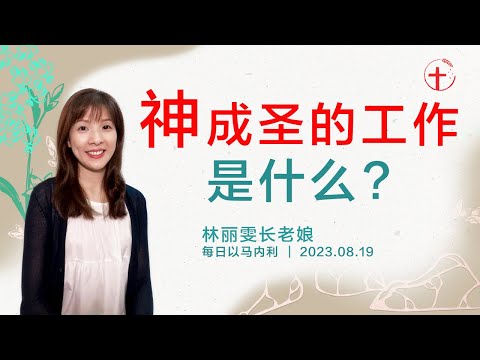 神成圣的工作是什么?｜每日 - 20230819