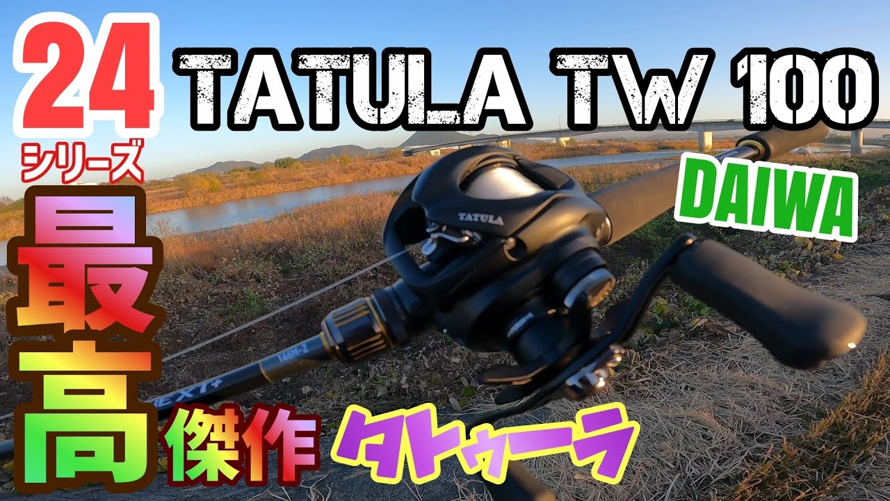 Daiwa 24 Tatula TW fishing reels