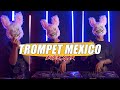 TROMPET MEXICO - EVER SLKR (DISKOTANAH)