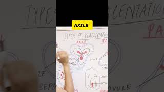 Types of Placentation in 60 Seconds 🌸 | NEET Biology