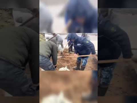 Полицейские помогают жителям подтопленных сел в ЗКО