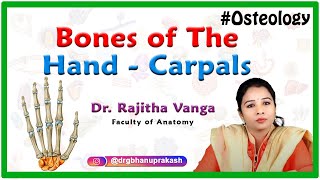 Bones of the Hand - Carpals (Upper limb Osteology)