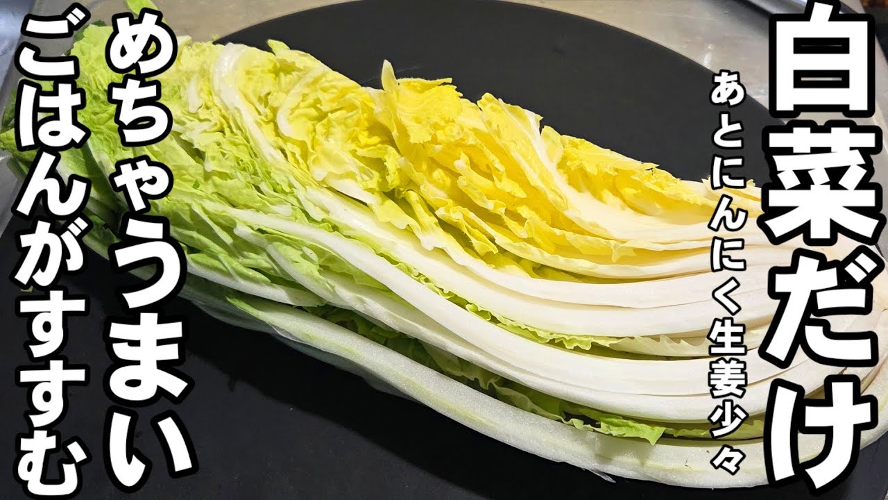 食材ほぼ白菜だけ！簡単でごはんがススム！めっちゃうまい おかずレシピ 節約 白菜大量消費 ヘルシー中華料理 キャベツ 作り置き 副菜