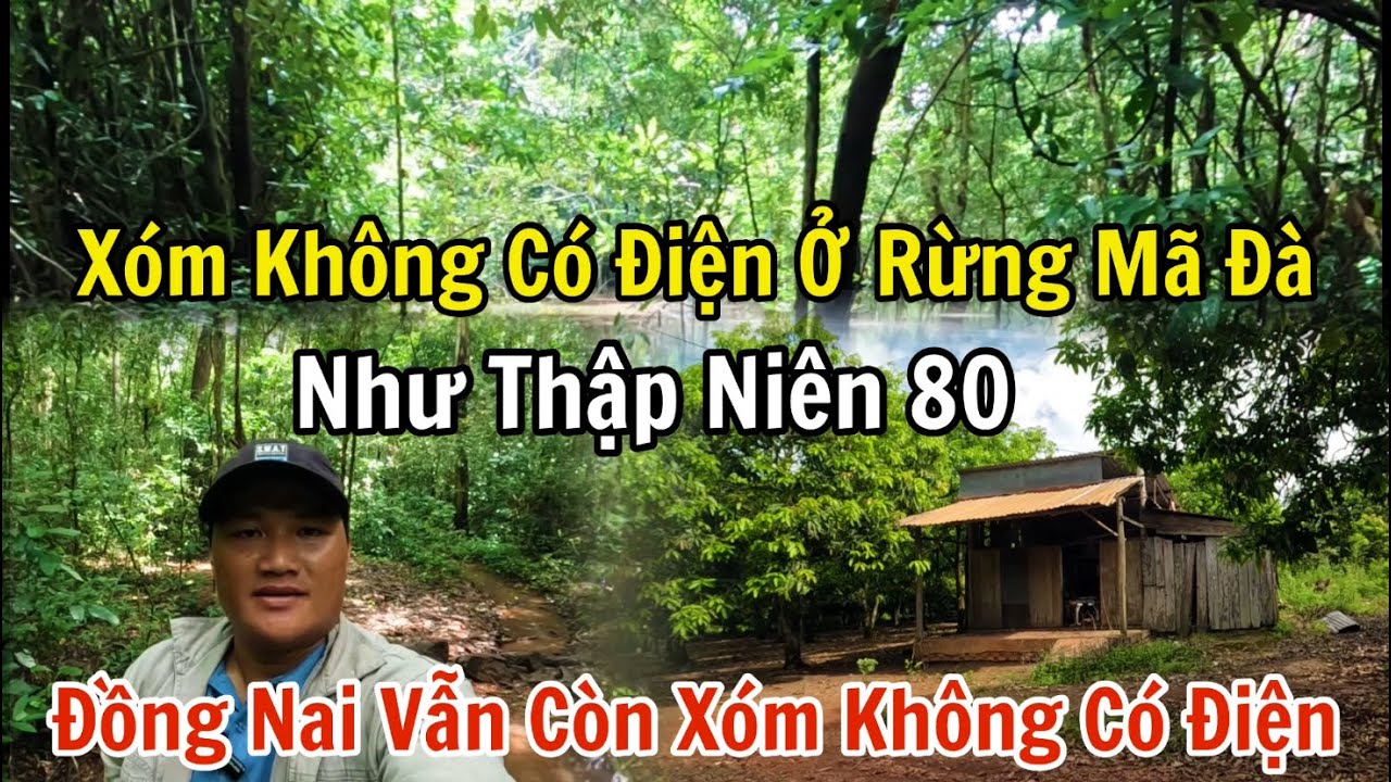Đường rừng vào khu dân cư không có điện như thời thập niên 80 trong rừng Mã Đà ở Đồng Nai.