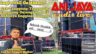 Download Lagu 🔴 Viral Gajahan‼Ani Jaya Audio Demak Langsung Bangun Spek Gajahan Dari Cak Ari Jenggot Dhehan Madiun MP3