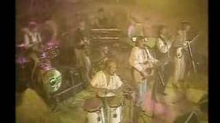 The Cats - Love is a golden ring chords