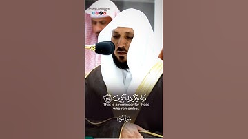 إِنَّ الْحَسَنَاتِ يُذْهِبْنَ السَّيِّئَاتِ..﴾🎧🌿 تلاوة من سورة هود لفضيلة الشيخ د.#ماهر_المعيقلي