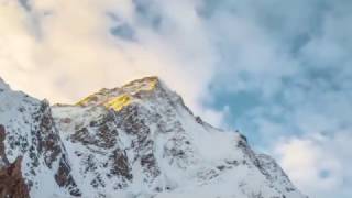 Steap Mountain Tea Ad