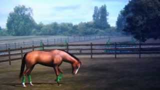 My first horse Beauty on My Horse(Ipod, Ipad, Iphone screenshot 2