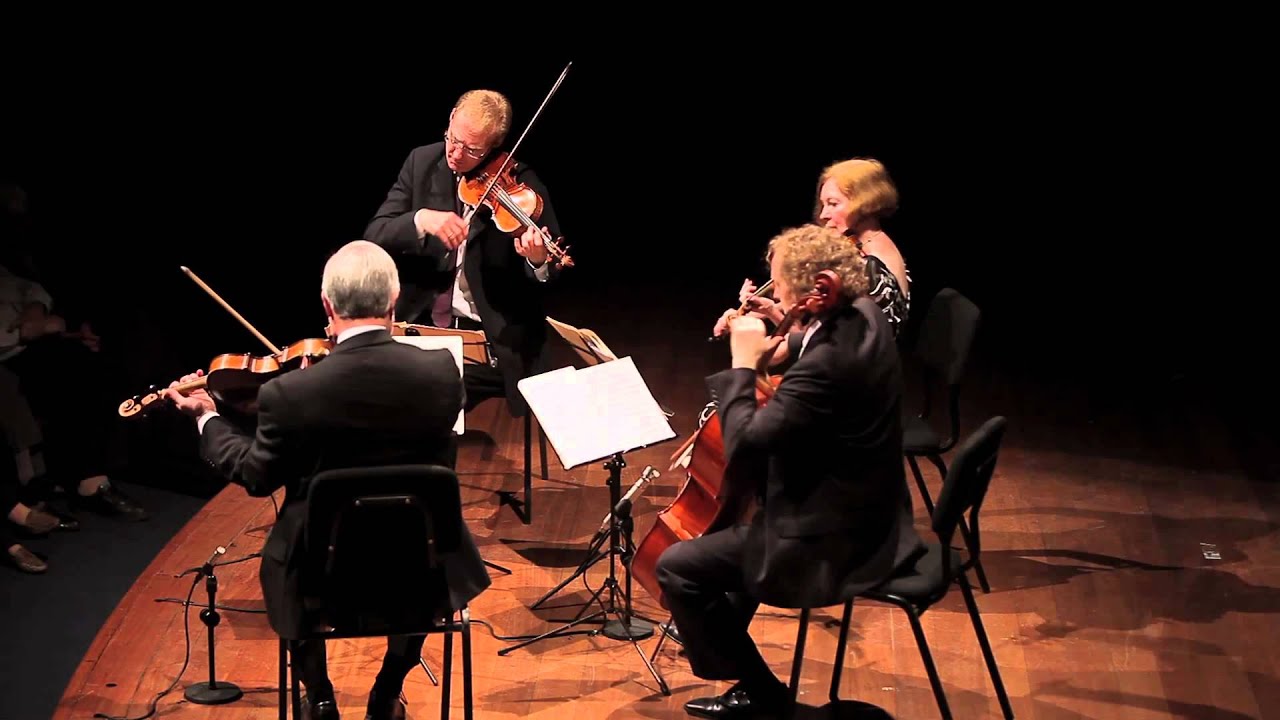 Dvorak String Quartet op.51 (3rd movement) YouTube