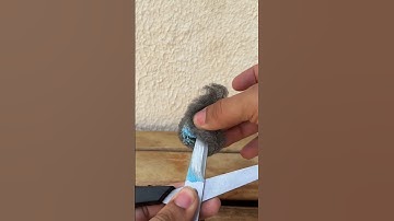 Sharpening scissors with toothpasteSimple trick #USA #SharpScissors #HomeDIY