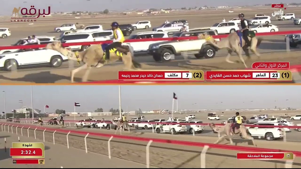 ش8 رعد لـ عبيد جمعة عبيد محمد الراشدي (مهرجان ختامي الوثبة 09-05-2025) سباق الهجن التراثي 3:02:55