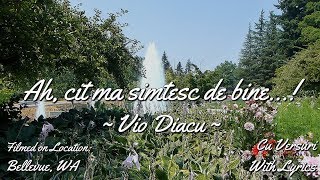 Vio Diacu - Ah cit ma simtesc de bine (Cu Versuri)