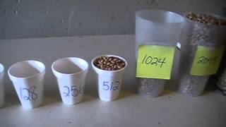 Cosmic Inflation & Doubling with Pinto Beans