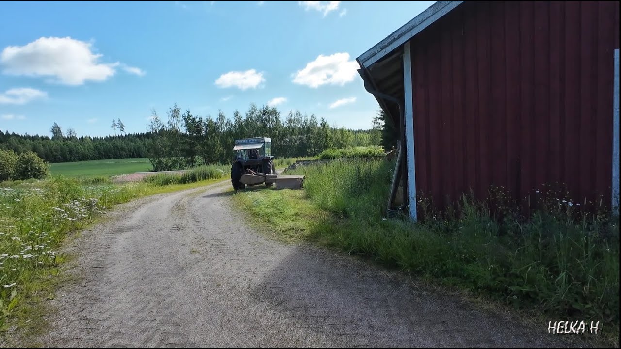 Heinänteon aloitus ja lehmänpaskakasassa kykkimistä