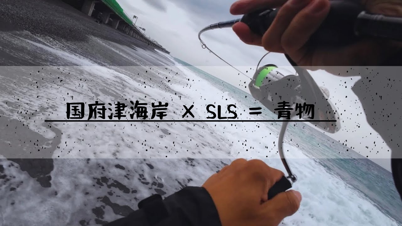【ショアジギング】国府津海岸は、SLS だから釣れる！！
