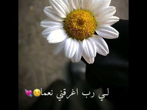 نشيد لاحزن اليوم سيثنيني