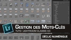 Tuto Lightroom #35 : Bien gérer vos mots clés