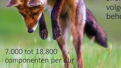 Fox2 Demo Day oct 2017