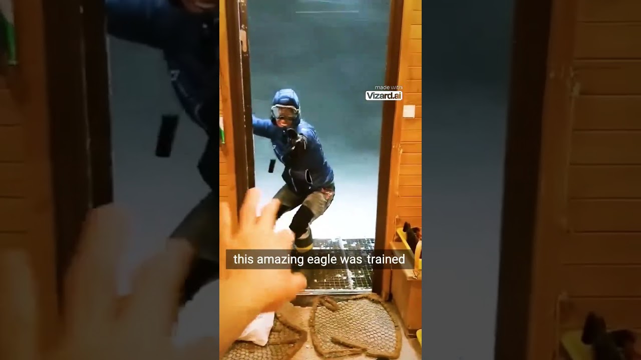 Watch This Eagle Take Down Drones Like a Pro  @WhatIfScienceShow 