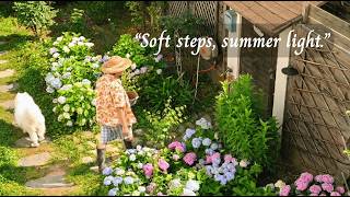 【Жизнь неспешно — Сельская местность】«Мягкие шаги, летний свет». — (Расслабляющая музыка для снят... screenshot 2