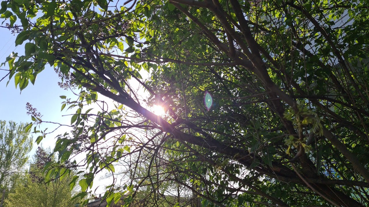 Запорожье. Обстановка на 4. 05. 2022