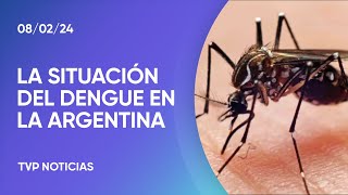 Crecen los casos y las víctimas fatales del dengue en Argentina
