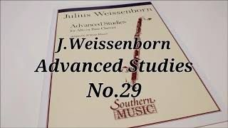 J.Weissenborn：Advanced Studies No.29