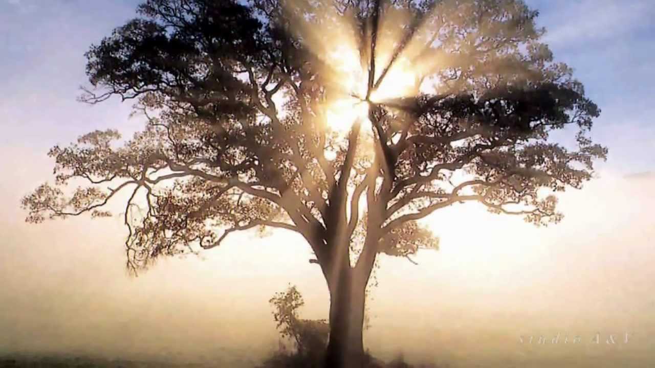 Ivan Puljić - Pohvala sveznajućeg Ps 139.