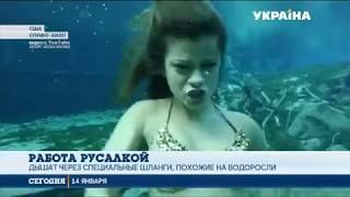 В парке развлечений Флориды русалки устраивают сказочные представления В парке развлечений Флориды русалки устраивают сказочные представления