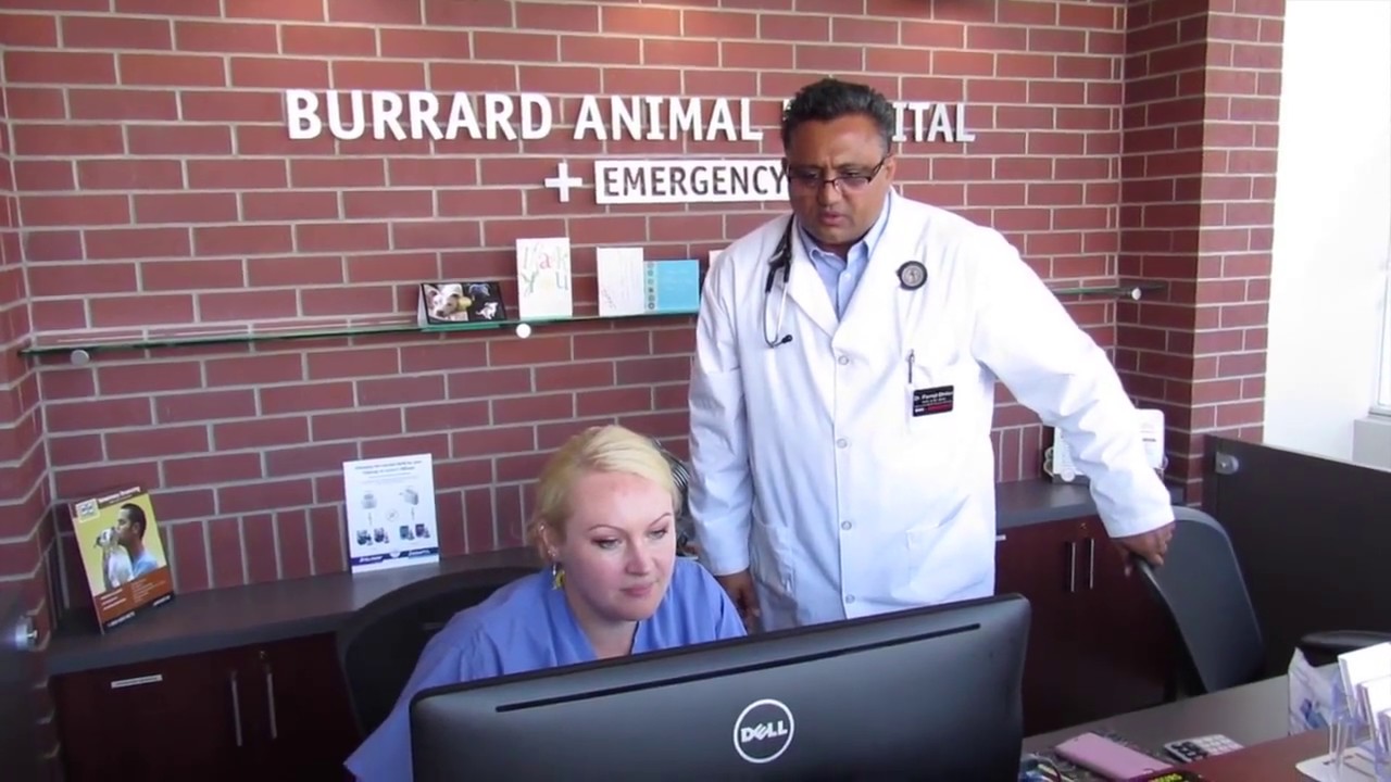 'Petsecure is amazing': Veterinarian Testimonial