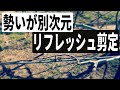 更新作業とリフレッシュ剪定を生産農家が詳しく解説と実演します　いちじくVlog　#12　2021