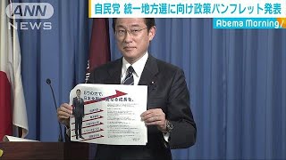 自民党　統一地方選挙に向け政策パンフレットを発表(19/03/07)