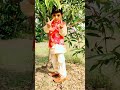 chhota babu 🤣🥰 आम के बाग में #shorts#shortsfeed#shortsvideo#viralvideo#trending#video#viral#funny