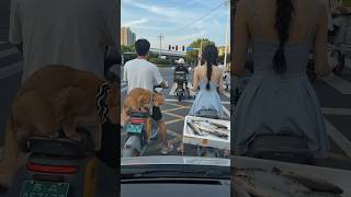 All the water has disappeared. 9-1-1 (2018): In thehigh-stakes world of Los Angeles