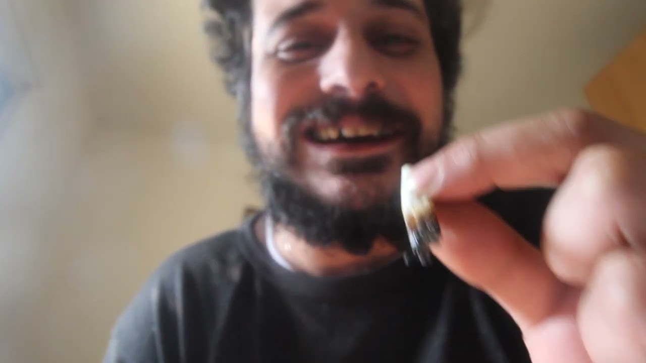 chill tiger play moon safari by - Air