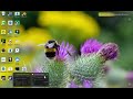 Middle of video