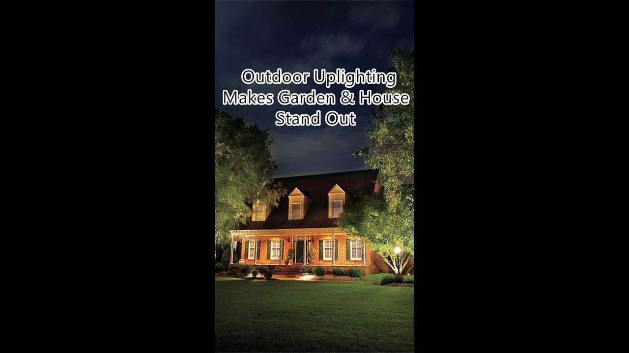 💡⬆️How to Uplight Tree / House / Statue? Here’s the tips⬆️💡