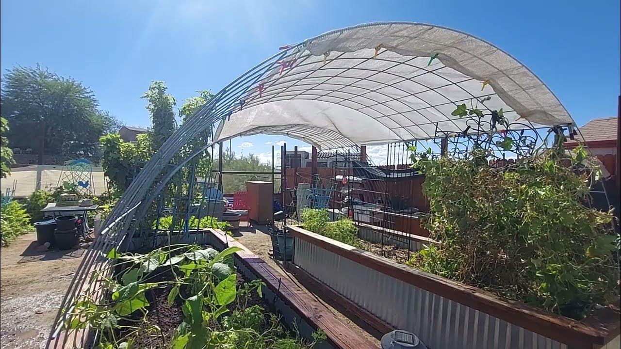 Redoing Raised Beds Adding Cattle Panels and Shade Cloth YouTube