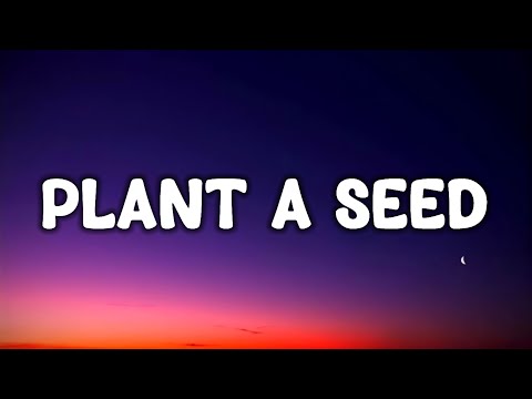 Luke Combs - Plant A Seed (Lyrics) - YouTube