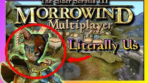 Morrowind in MULTIPLAYER (OpenMW/TES3MP)