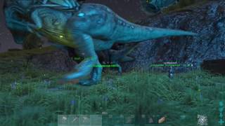 Yop Rees Getting Pumped Before Dragon Boss Ark