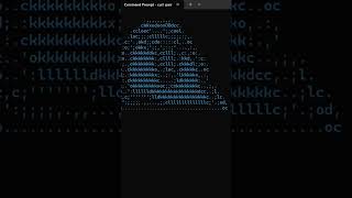 How to get a Dancing parrot on your screen in CMD  #coding #coolcmdtricks #programming