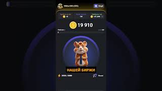 СТАНЬ ДИРЕКТОРОМ КРИПТОБИРЖИ | HAMSTER KOMBAT | ДРОП ЗА КЛИК ОТ NOTCOIN 2.0