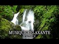 Musique Zen Nature - Relaxation Pour se Détendre - Méditation pour Dormir